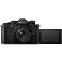 NIKON Zf FX-format Mirrorless Camera with 40mm f/2 (SE) Lens