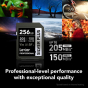 Lexar Professional Silver Plus SDXC 256GB