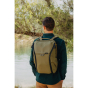 Peak Design Everyday Backpack (20L, Kelp)