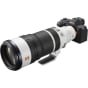 Sony FE 100-400mm f/4.5 GM OSS Lens