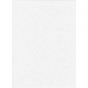 ProMaster Muslin background 10'x12' White