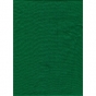 ProMaster Muslin background 10'x20' Chromakey Green