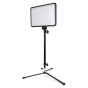 ProMaster Backlight Stand with Folding Base 5.5" - 34"