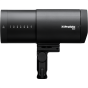 Profoto B30 Duo Kit