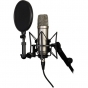 RODE NT2A Multi-Pattern Dual 1" Condenser Microphone 