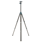 BENRO MiniBird Tripod