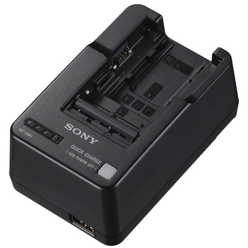 SONY Power Adapter & Bat Charger A3000 RX10 A7 A7R        BCQM1