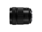 PANASONIC LUMIX S 28-200MM F4-7.1 Macro OIS Lens