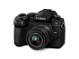 Panasonic Lumix G97 Hybrid Camera with 12-60mm f/3.5-5.6 Lens
