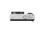 PANASONIC LUMIX ZS99 - Silver