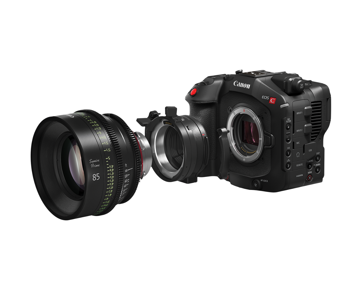 CANON EOS C80 Cinema Camera | Pre-Order Today | Dodd Camera